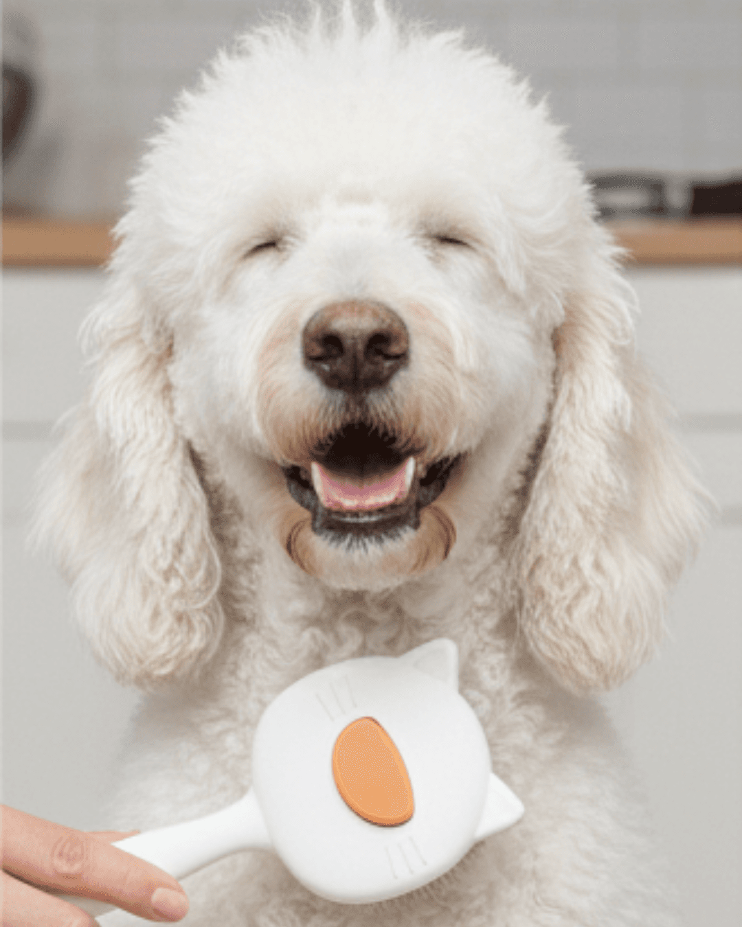 Grzebień dla zwierząt do usuwania sierści, szczotka do pielęgnacji sierści psa lub kota