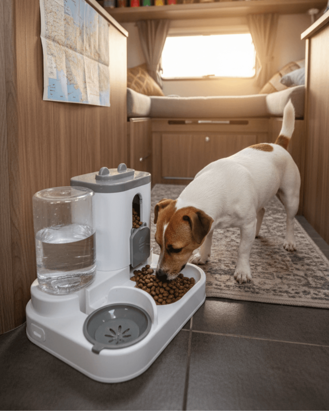 Automatyczny podajnik karmy dla psów i kotów z fontanną wodną Dozownik karmy dla zwierząt o dużej pojemności Pojemnik Akcesoria dla szczeniąt